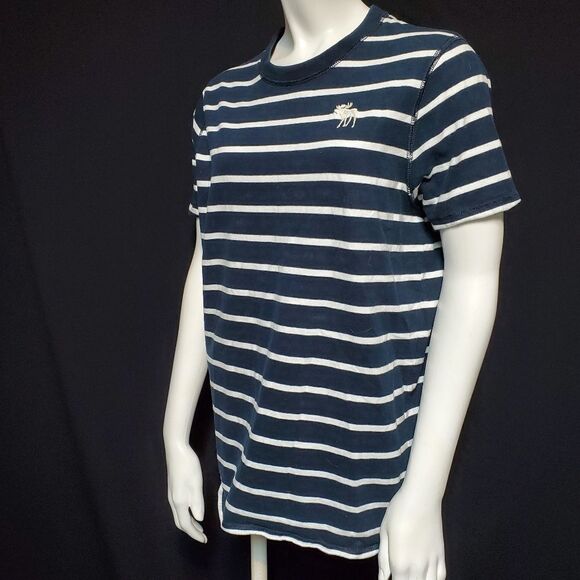 Abercrombie & Fitch Blue & White Striped Tee (L) - Picture 1 of 5